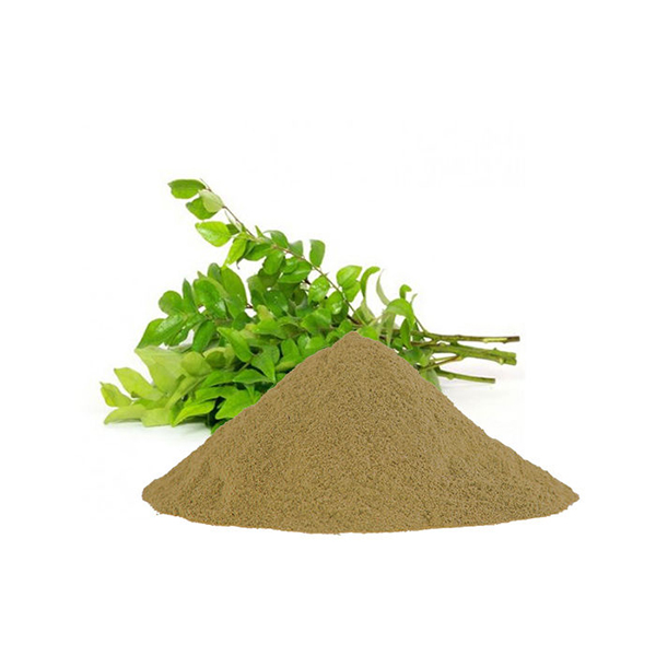 Curry Leaf Idli Podi - Image 2