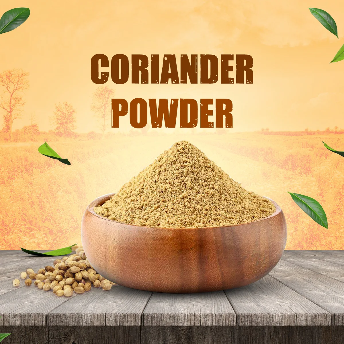 Coriander Powder - Image 2